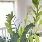Casa Alda Διαμέρισμα Λα Σπέτσια