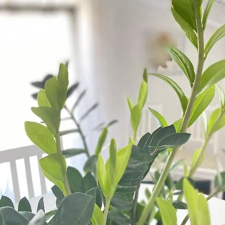 Casa Alda Appartement La Spezia